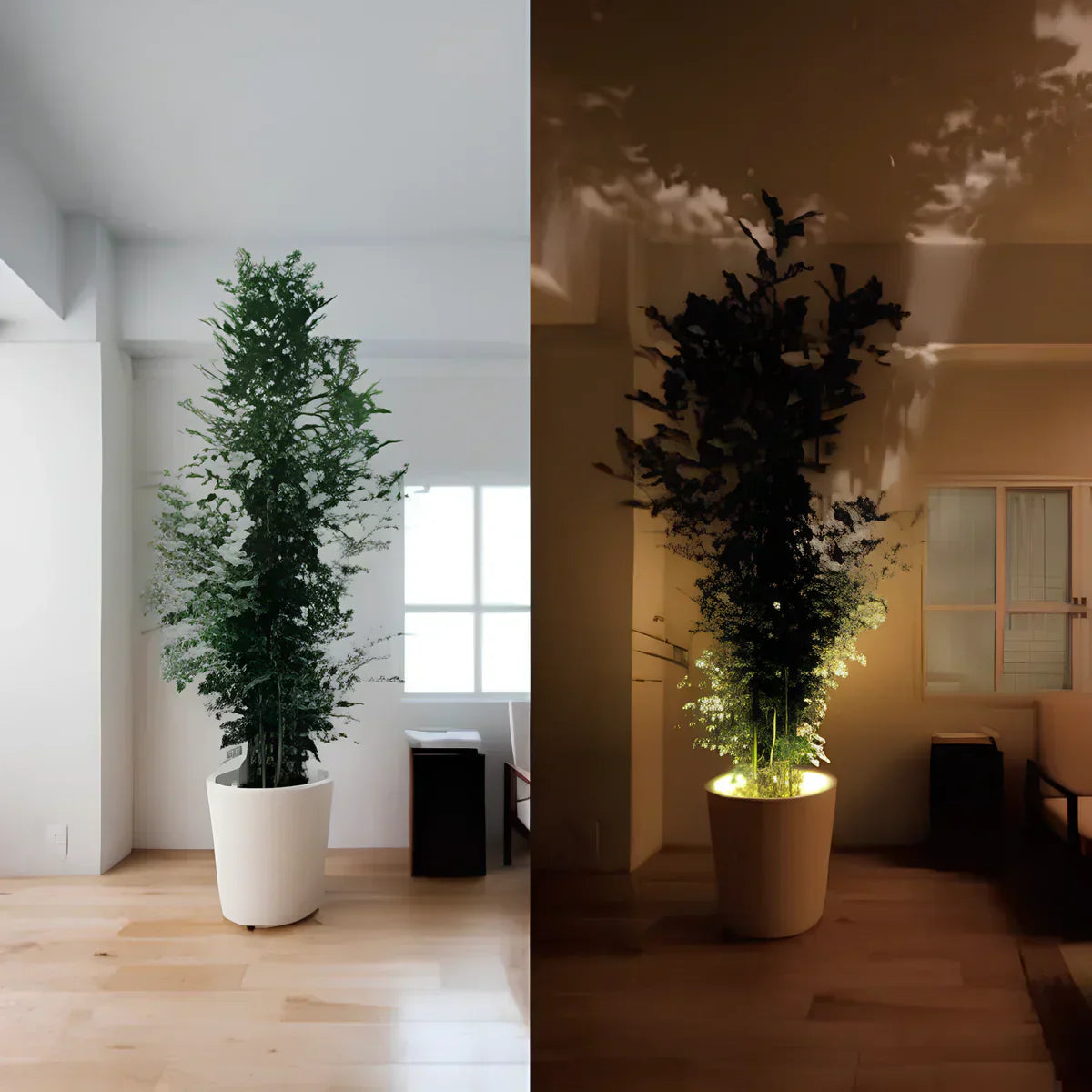 Skorter | Wireless LED Spotlight - LumaSpot