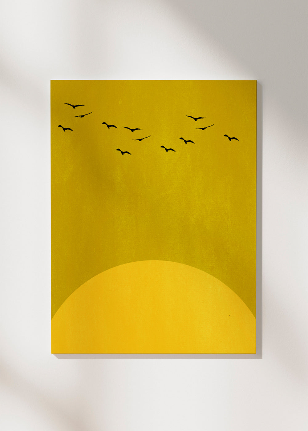 Skorter | Canvas Sun Song