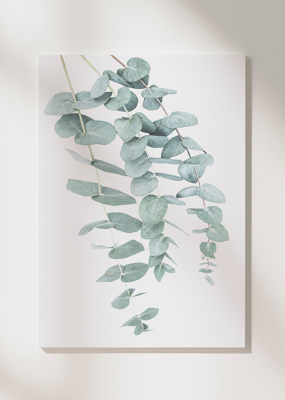 Skorter | Canvas Eucalyptus I