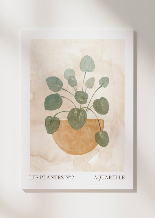 Skorter | Canvas Plant No. 2