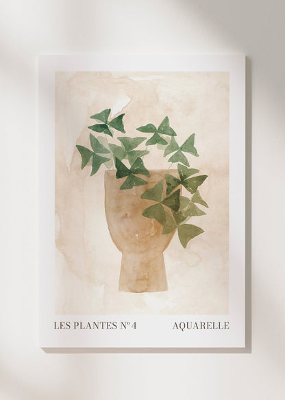 Skorter | Canvas Plant N°4