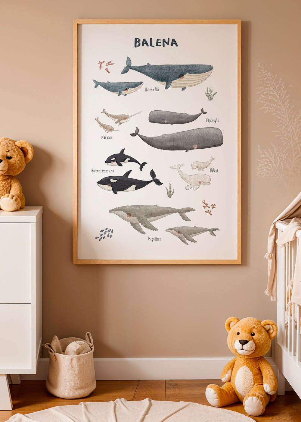 Skorter | Ballenas on white background (Italian)