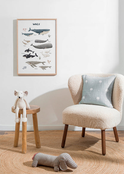 Skorter | Ballenas on white background (German)