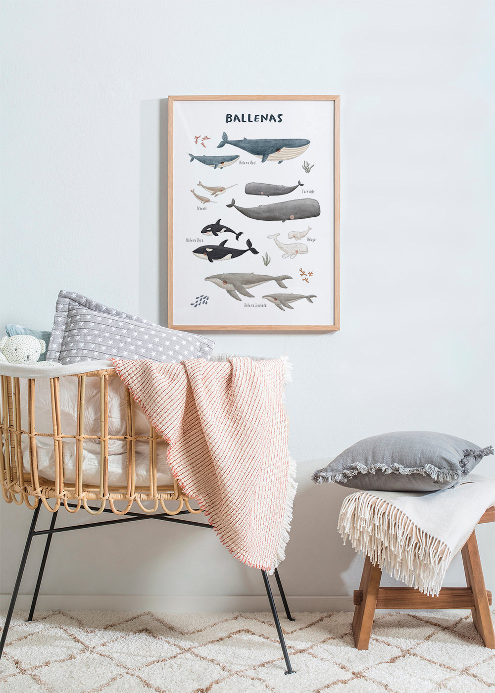 Skorter | Ballenas on white background