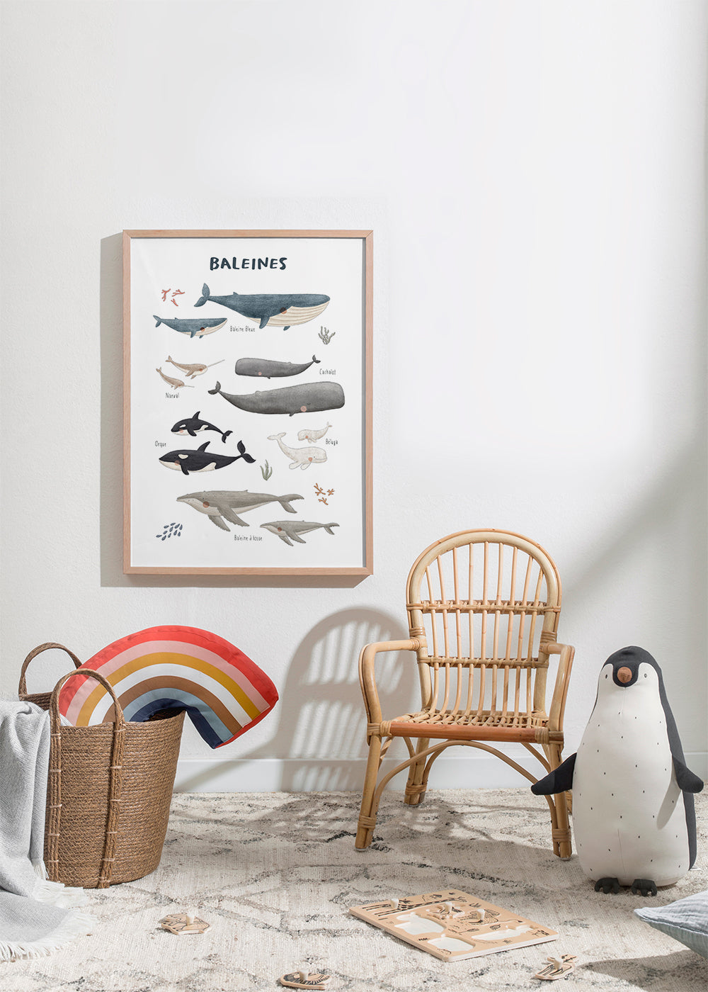 Skorter | Ballenas white background (French)