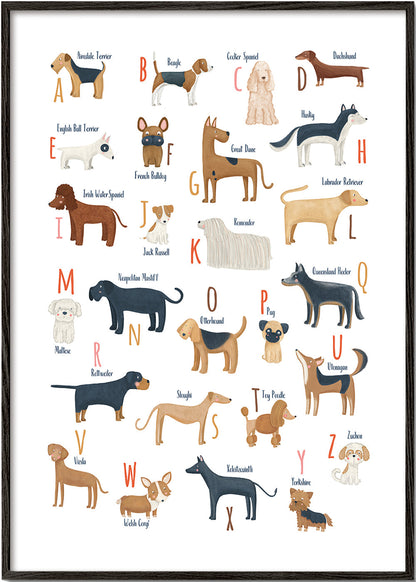 Skorter | Abecedario with dogs
