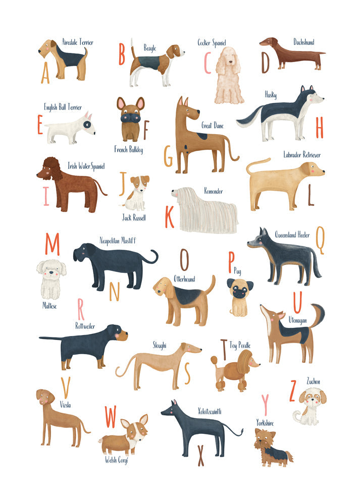 Skorter | Abecedario with dogs