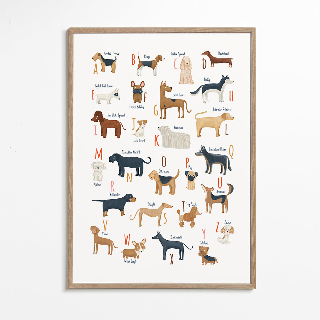 Skorter | Abecedario with dogs