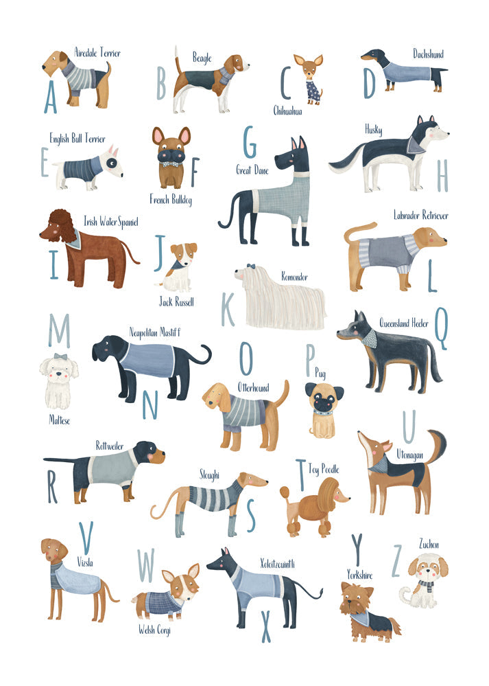 Skorter | Alphabet with dogs (blue)
