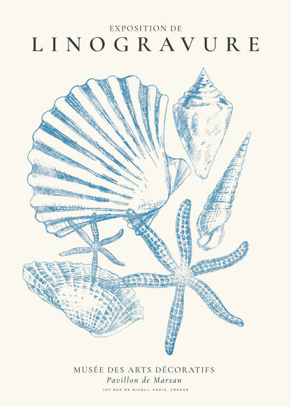 Skorter | Exhibition of linoleum prints, marine life