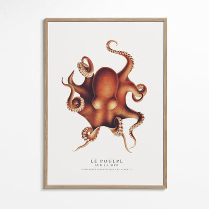 Skorter | Blue Whale (Blue Fish) - Animal Kingdom Collection