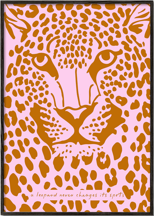Skorter | A leopard never changes its spots
