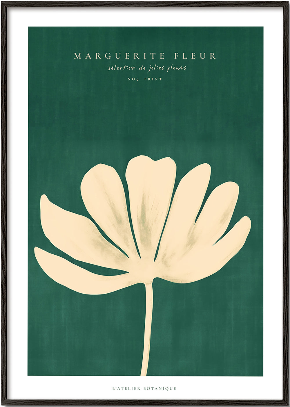 Skorter | Daisy Flower (Daisy Flower)