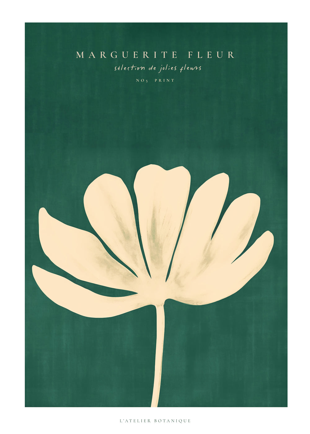 Skorter | Daisy Flower (Daisy Flower)