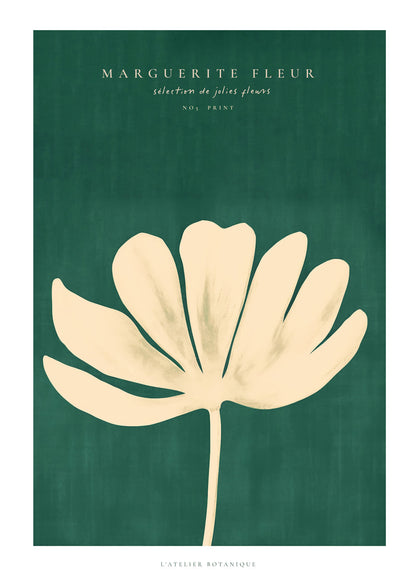 Skorter | Daisy Flower (Daisy Flower)