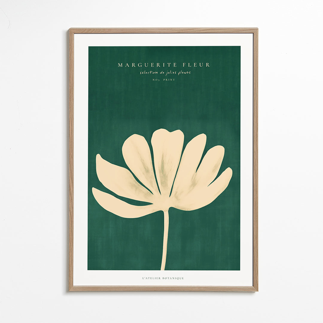 Skorter | Daisy Flower (Daisy Flower)