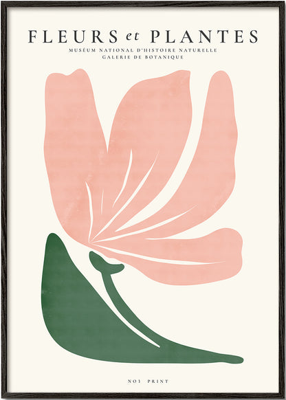 Skorter | Botanical, flowers and plants - Poster no. 3
