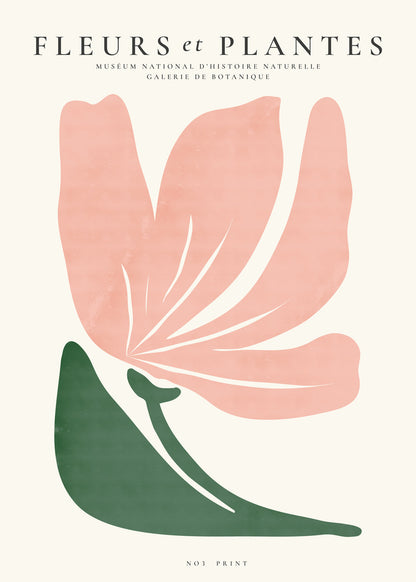 Skorter | Botanical, flowers and plants - Poster no. 3