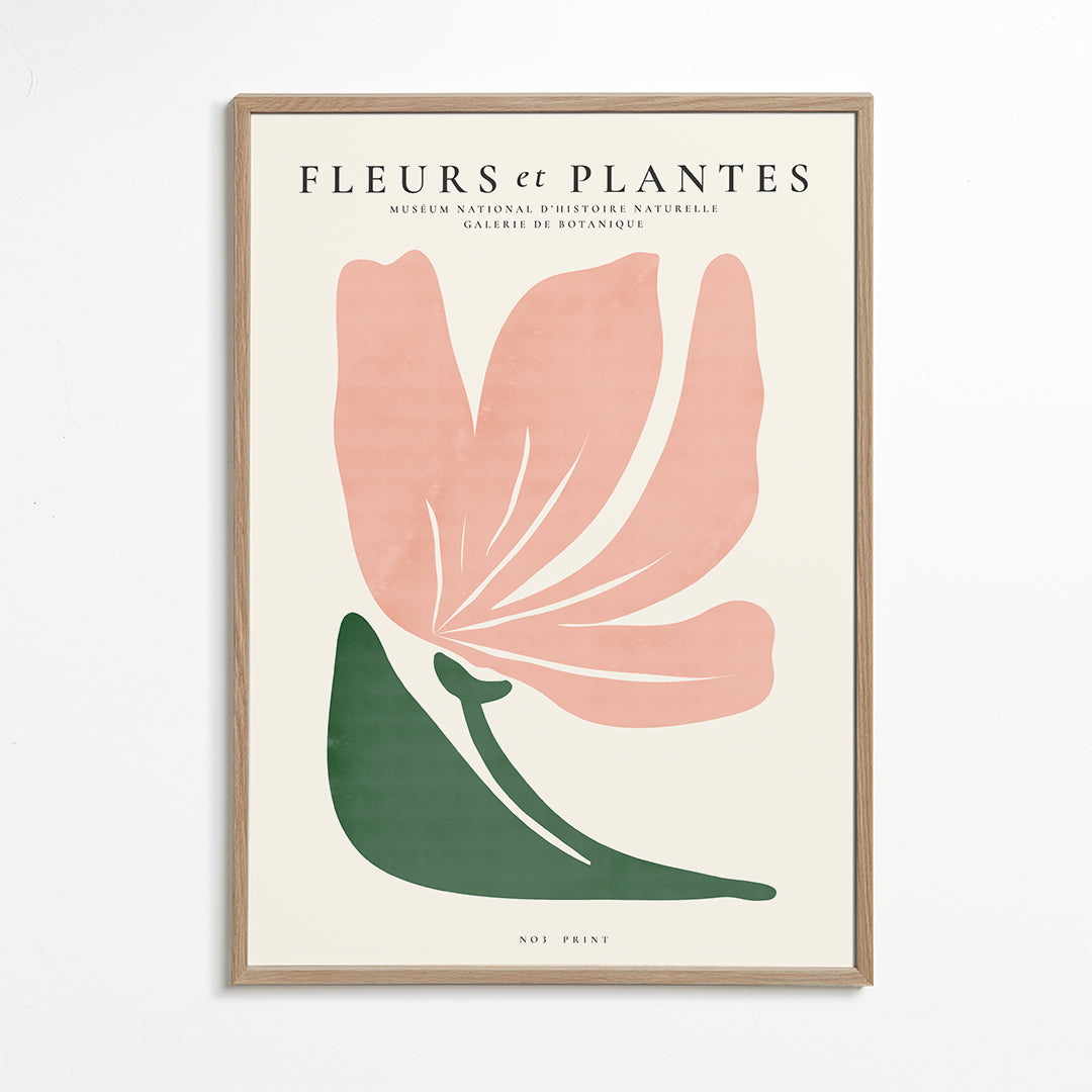 Skorter | Botanical, flowers and plants - Poster no. 3