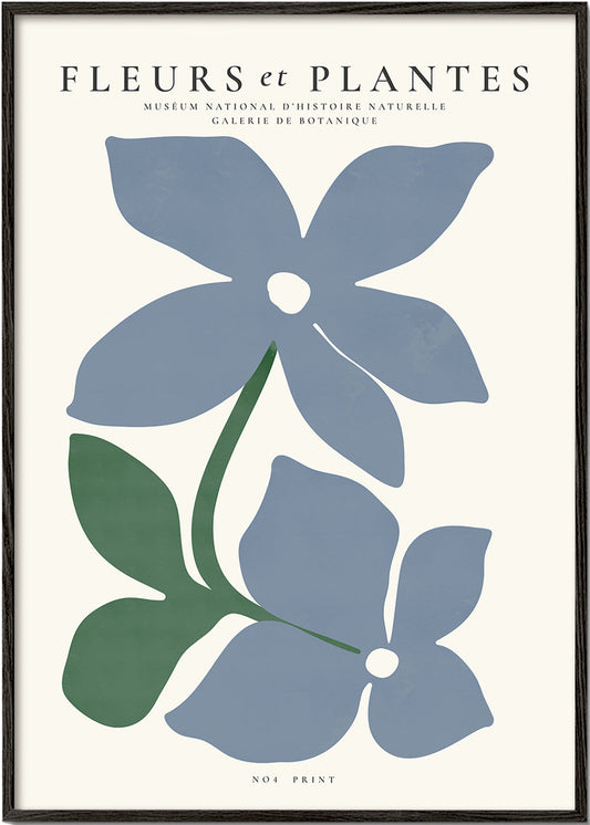 Skorter | Botanical, flowers and plants - Poster no. 4