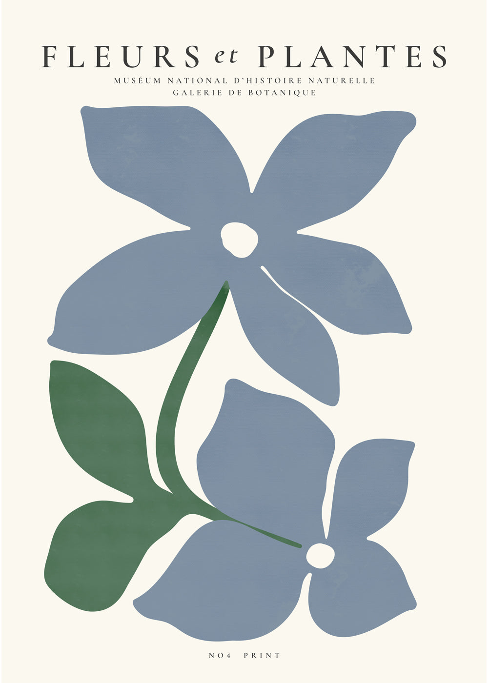 Skorter | Botanical, flowers and plants - Poster no. 4