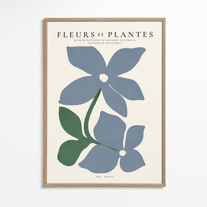Skorter | Botanical, flowers and plants - Poster no. 4