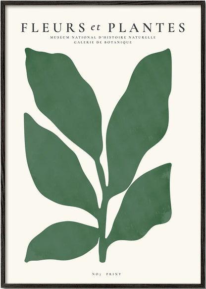 Skorter | Botanical, Flowers and Plants - Poster No. 7