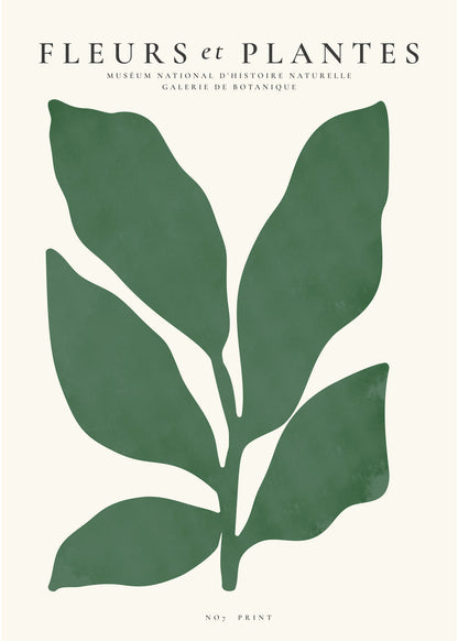Skorter | Botanical, Flowers and Plants - Poster No. 7