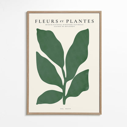 Skorter | Botanical, Flowers and Plants - Poster No. 7