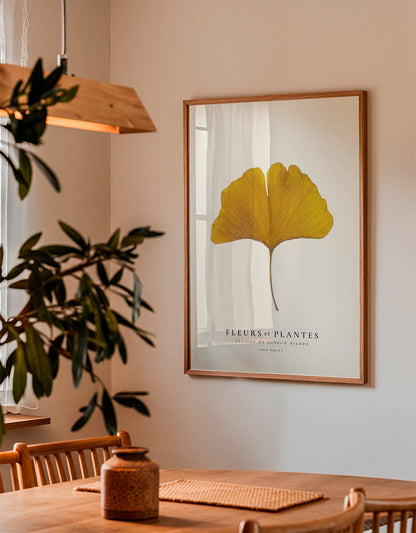 Skorter | Botanical, Flowers and Plants -Ginkgo biloba Leaf