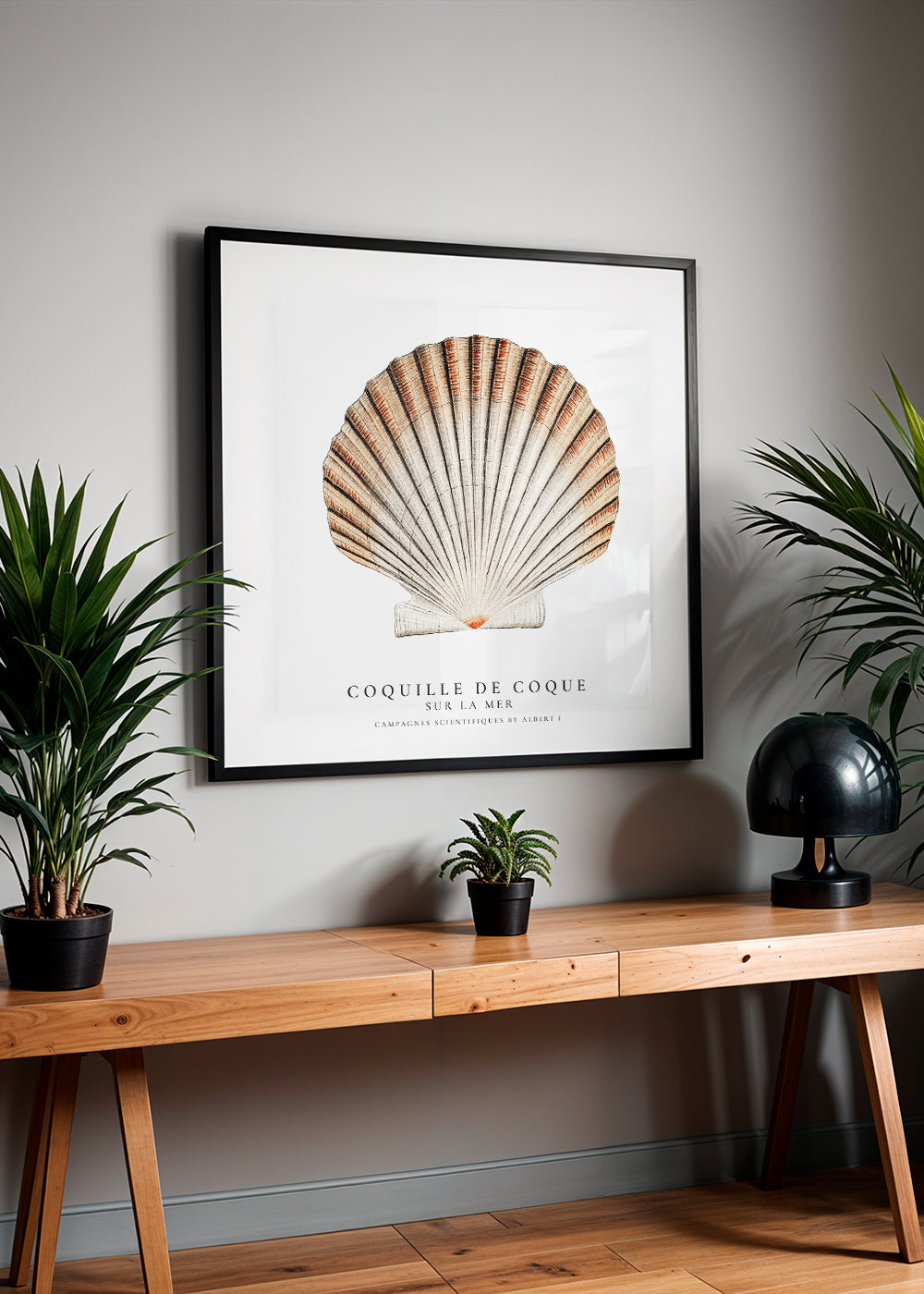 Skorter | Seashell - Sealife collection - SQUARE