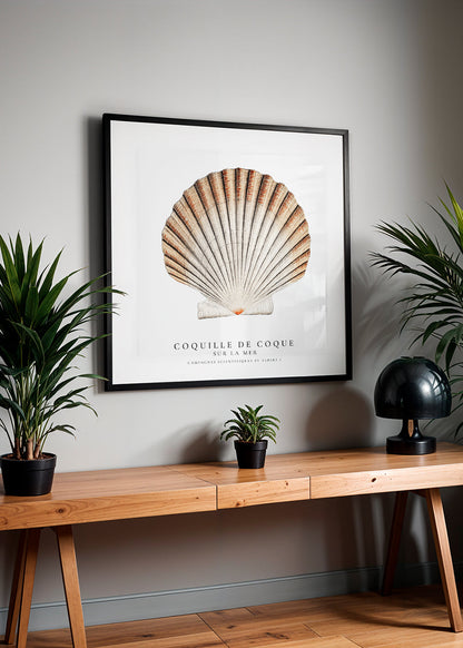 Skorter | Seashell - Sealife collection - SQUARE