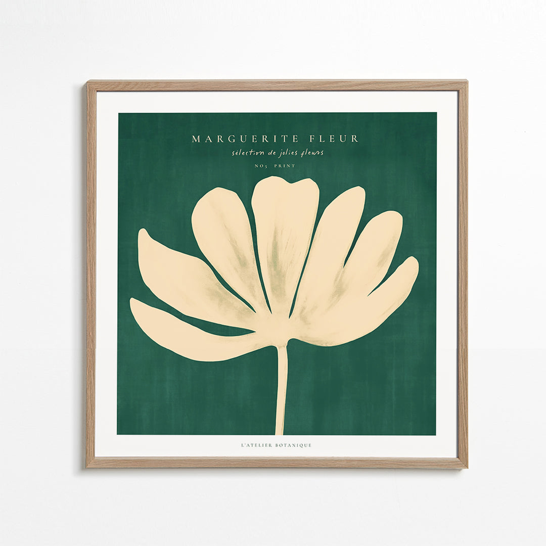 Skorter | Daisy Flower (Marguerite Flower) - KVADRAT