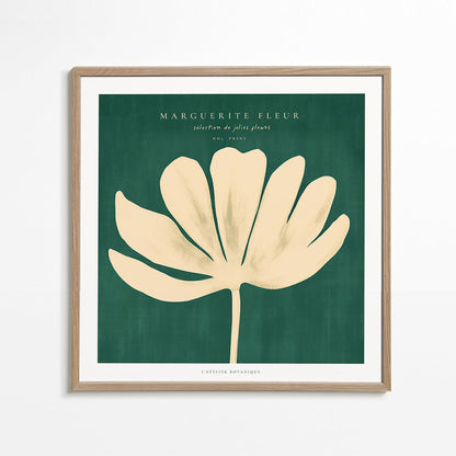 Skorter | Daisy Flower (Marguerite Flower) - KVADRAT