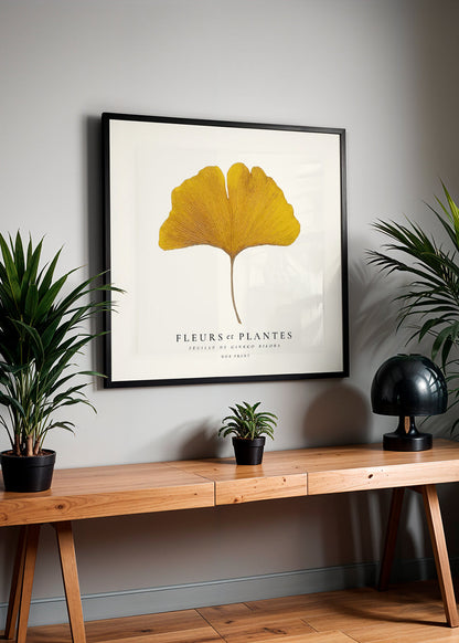 Skorter | Botanical, flowers and plants - Ginkgo biloba leaf - SQUARE