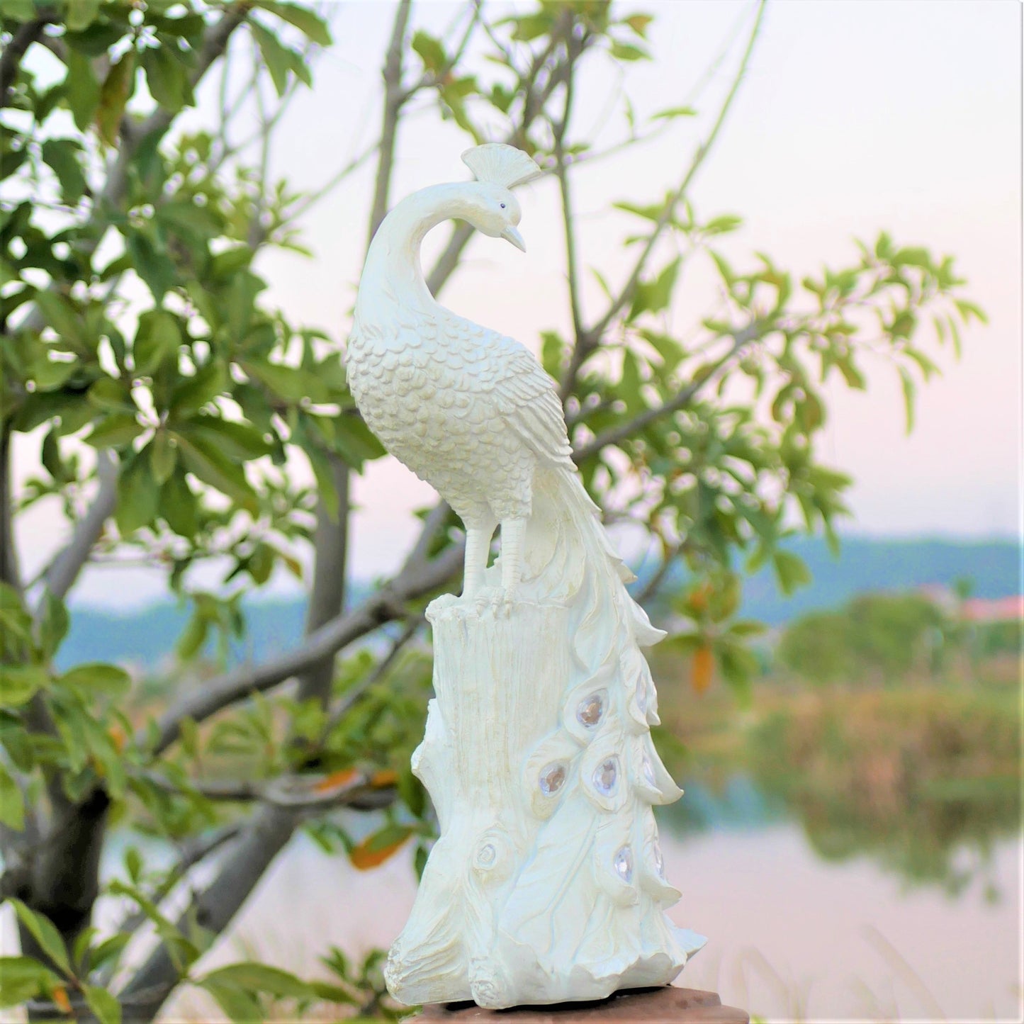 Skorter | olarPeacock - Colorful Harshage plug on Solar Energy, Perfect