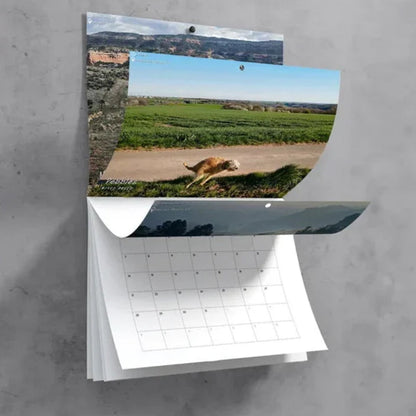 Skorter | Pooping Pooches Dog Calendar