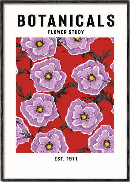 Skorter | Botanicals Flower Report - jay stanley