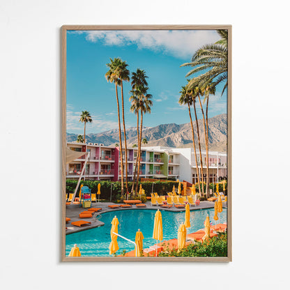 Skorter | Palm Springs Saguaro - Bethany Young