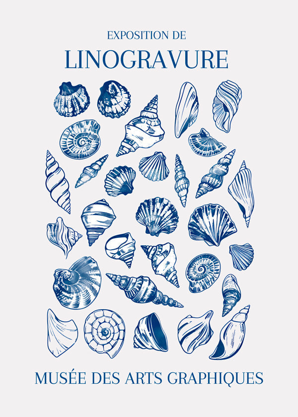 Skorter | Lino Shell Art Market - Jolly and Dash