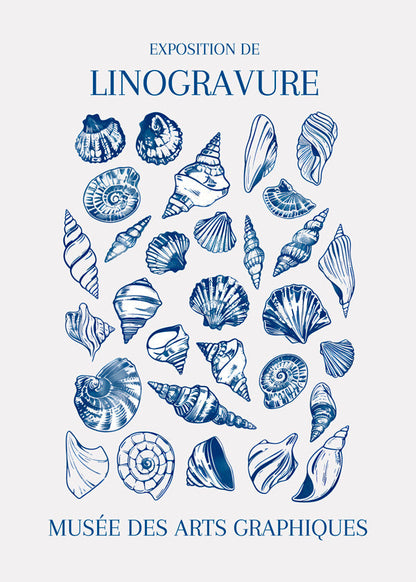 Skorter | Lino Shell Art Market - Jolly and Dash