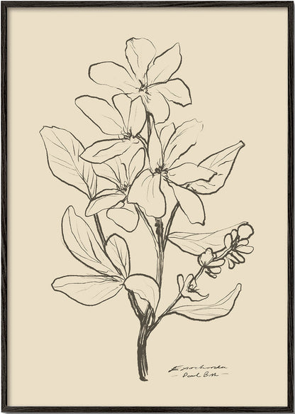 Skorter | Flowers 1 - Dan Hobday