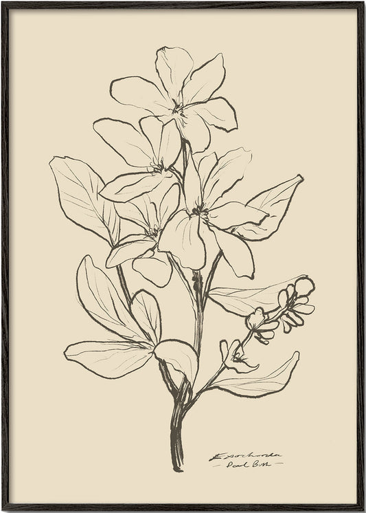 Skorter | Flowers 1 - Dan Hobday