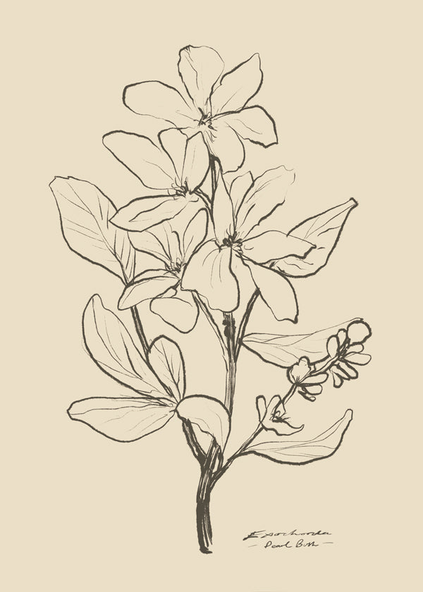 Skorter | Flowers 1 - Dan Hobday