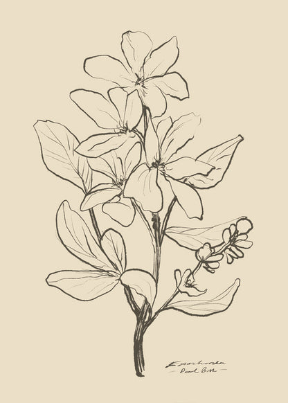 Skorter | Flowers 1 - Dan Hobday