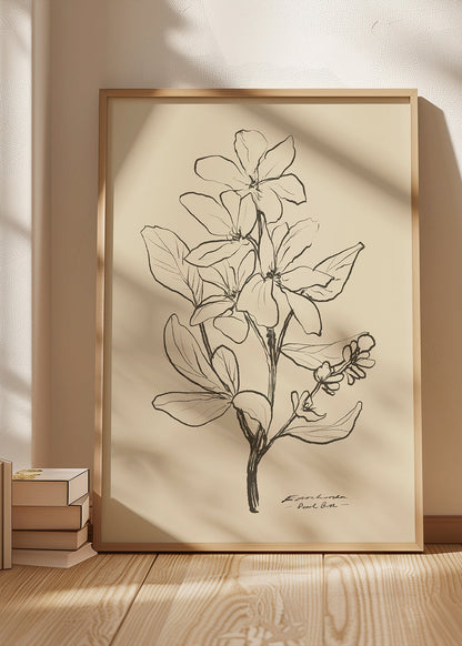 Skorter | Flowers 1 - Dan Hobday