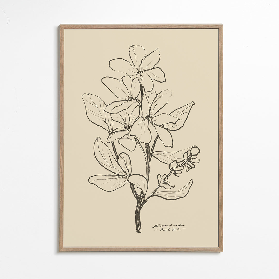 Skorter | Flowers 1 - Dan Hobday