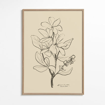 Skorter | Flowers 1 - Dan Hobday