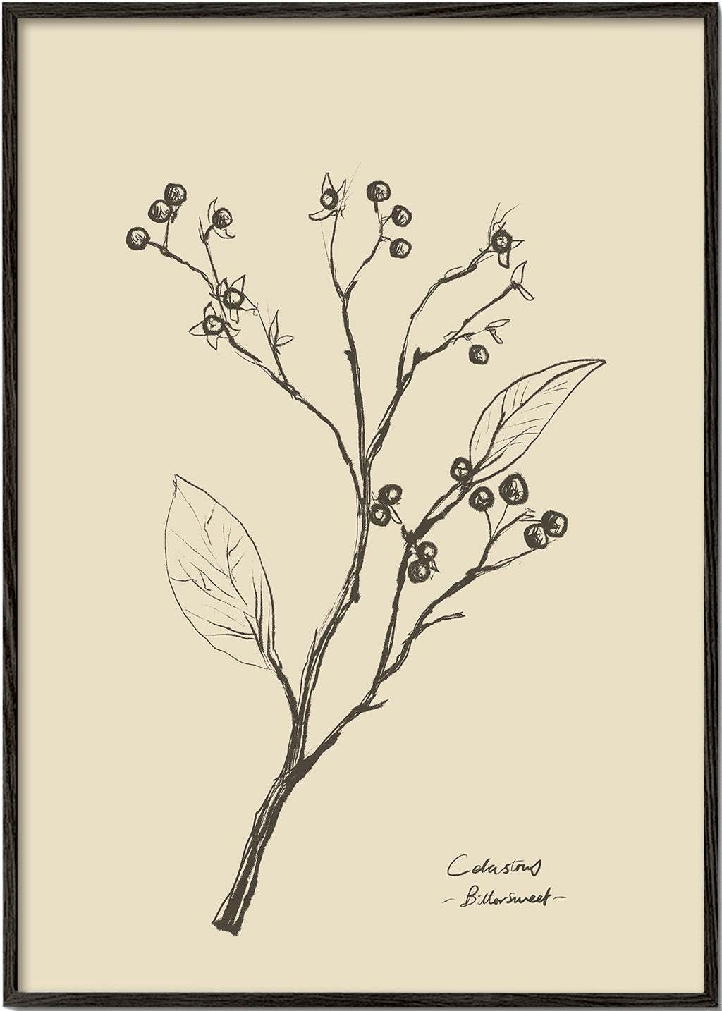 Skorter | Flowers 2 - Dan Hobday