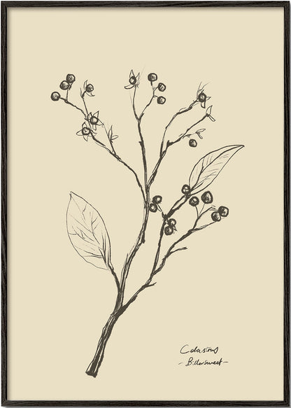 Skorter | Flowers 2 - Dan Hobday